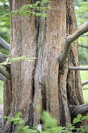 Steam动漫游戏节开幕 动漫文化游戏盛会